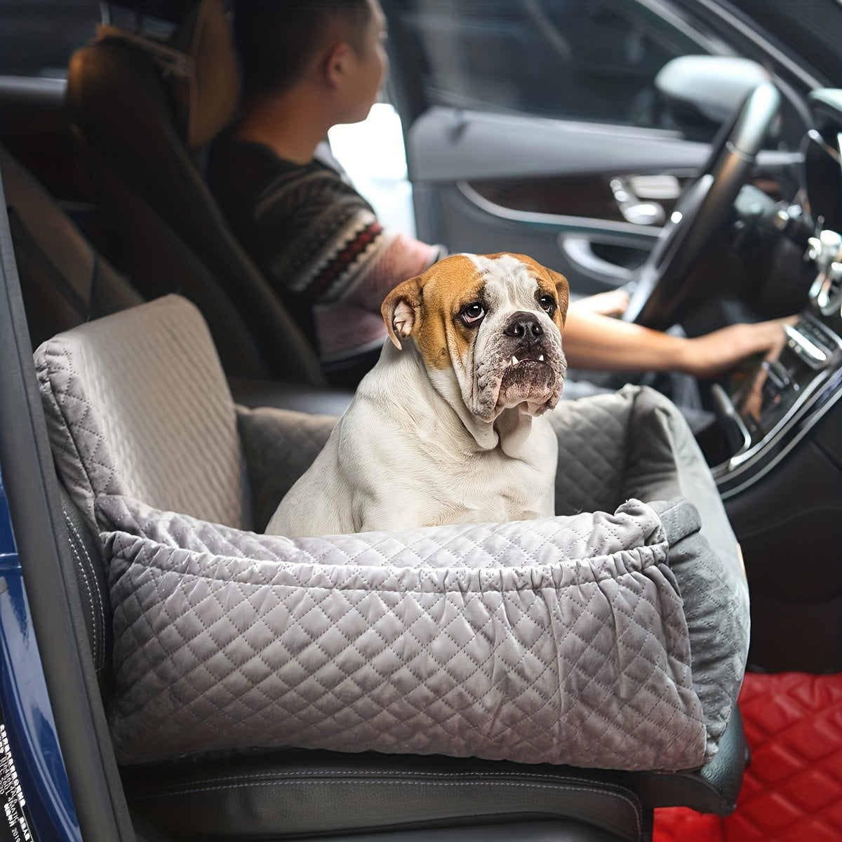 Hunde Autositz Haustier Aufsatzsitz